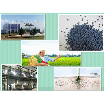 Agrochemical Potassium Humate NPK Compound Organic Fertilizer